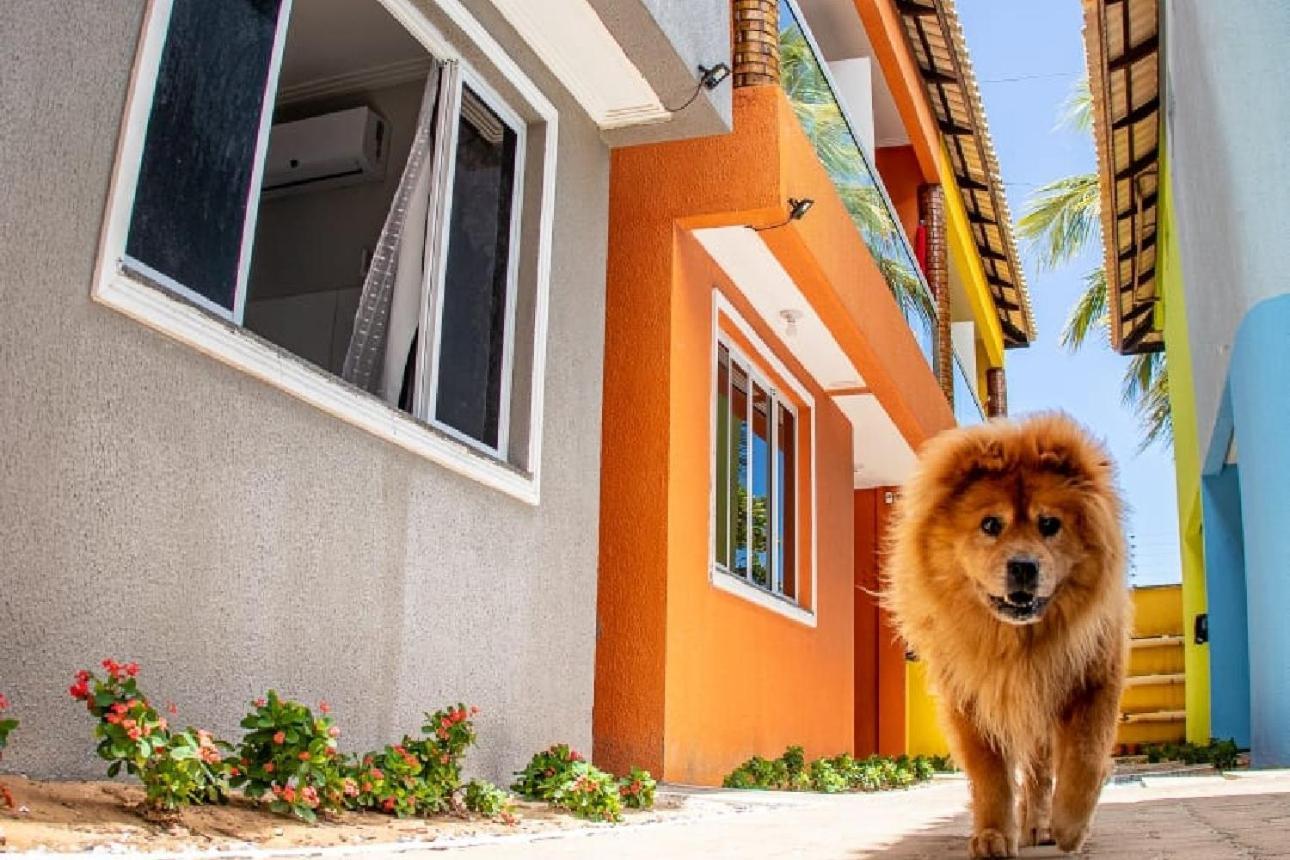 Hotel Dunas Vila Cumbuco Kültér fotó